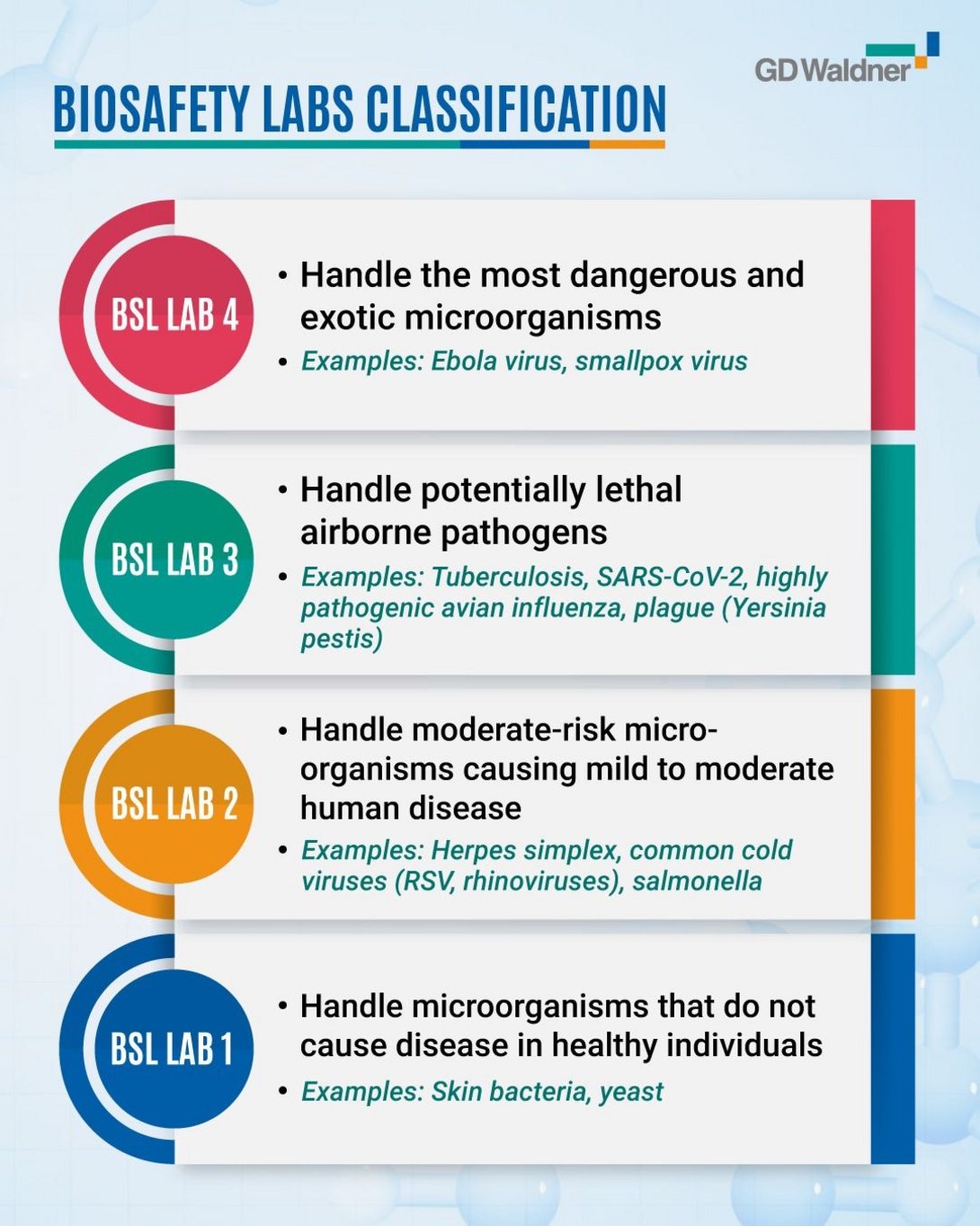 Bild: BSL Labs